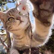 ヒメ日記 2026/02/19 11:56 投稿 とも 快楽玉乱堂