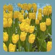 ヒメ日記 2026/02/20 19:56 投稿 とも 快楽玉乱堂