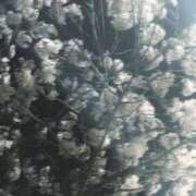 ヒメ日記 2026/03/22 23:36 投稿 とも 快楽玉乱堂