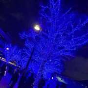 ヒメ日記 2024/12/12 18:02 投稿 ワコ秘書 秘書の品格 クラブアッシュ ヴァリエ