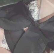 ヒメ日記 2025/02/03 13:13 投稿 ワコ秘書 秘書の品格 クラブアッシュ ヴァリエ