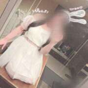 ヒメ日記 2025/03/20 11:25 投稿 ワコ秘書 秘書の品格 クラブアッシュ ヴァリエ