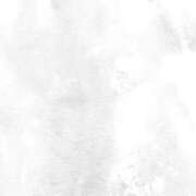 ヒメ日記 2025/06/06 07:01 投稿 もね Fの法則