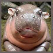 ヒメ日記 2025/08/17 12:38 投稿 もね Fの法則