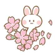 ヒメ日記 2025/04/05 09:54 投稿 ころね【小柄×華奢な綺麗っ娘♡】 Beppin house