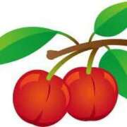 ヒメ日記 2025/05/12 11:00 投稿 ころね【小柄×華奢な綺麗っ娘♡】 Beppin house