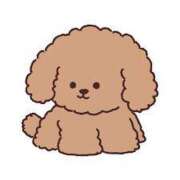 ヒメ日記 2025/05/13 16:42 投稿 ころね【小柄×華奢な綺麗っ娘♡】 Beppin house