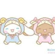 ヒメ日記 2026/02/17 12:06 投稿 ころね【小柄×華奢な綺麗っ娘♡】 Beppin house