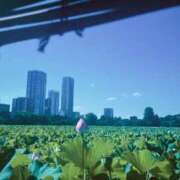 美蘭ことり@金の玉フェチ倶楽部 なんとなく夏ってエロさが増す気がする。 アナラードライ