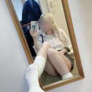 ヒメ日記 2025/04/06 01:29 投稿 猫/ねこ ギャルズネットワーク大阪