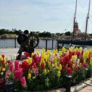 ヒメ日記 2025/05/29 14:08 投稿 あゆ（花嫁） Yシャツと私