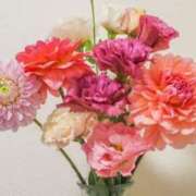 さえ 久しぶりですね セレブクエスト-koshigaya-