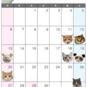 ヒメ日記 2025/04/10 13:07 投稿 佐藤 しお Canx2京都店