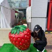 ヒメ日記 2025/03/29 18:37 投稿 なぎさ G-SPOT