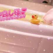 ヒメ日記 2025/12/11 12:29 投稿 りんな姫 I know すい～つ 生クリームpie