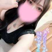 ヒメ日記 2025/12/13 13:01 投稿 りんな姫 I know すい～つ 生クリームpie