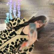 ヒメ日記 2026/03/25 14:33 投稿 りんな姫 I know すい～つ 生クリームpie