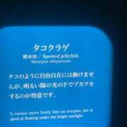 ヒメ日記 2024/08/08 23:48 投稿 堀北あき ウルトラセレブリティ