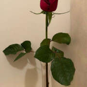 ヒメ日記 2024/12/14 14:26 投稿 ちな 熟女の風俗最終章 本厚木店