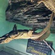 ヒメ日記 2025/03/09 09:28 投稿 ちな 熟女の風俗最終章 本厚木店