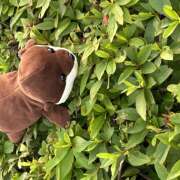 ヒメ日記 2025/06/26 14:22 投稿 ちな 熟女の風俗最終章 本厚木店