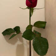 ヒメ日記 2025/08/23 13:24 投稿 ちな 熟女の風俗最終章 本厚木店