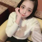 コトハ 次回案内20時30〜 姫路ラビット