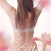 ヒメ日記 2025/03/17 12:05 投稿 かおり 千葉人妻花壇