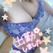 ヒメ日記 2025/05/21 06:18 投稿 ちはや チューリップ土浦店