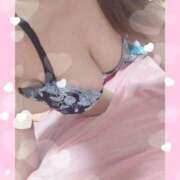 ヒメ日記 2025/06/13 06:19 投稿 ちはや チューリップ土浦店