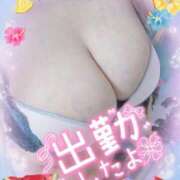 ヒメ日記 2025/07/23 06:18 投稿 ちはや チューリップ土浦店