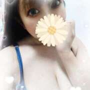 ヒメ日記 2025/08/14 06:18 投稿 ちはや チューリップ土浦店