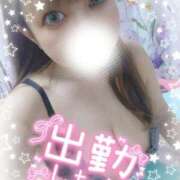 ヒメ日記 2025/09/12 06:17 投稿 ちはや チューリップ土浦店