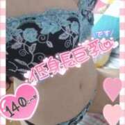 ヒメ日記 2025/09/17 15:29 投稿 ちはや チューリップ土浦店