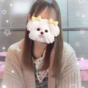 めい いよいよ バイオレンス