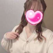 めい 教えて バイオレンス