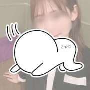 ヒメ日記 2025/01/11 08:30 投稿 中谷さや 川崎小町（川崎ハレ系）