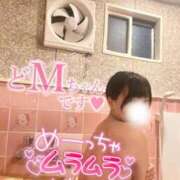 ヒメ日記 2024/12/27 21:53 投稿 神宮寺れい セクシーキャット 神田店