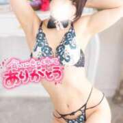 ヒメ日記 2025/07/19 09:14 投稿 神宮寺れい セクシーキャット 神田店