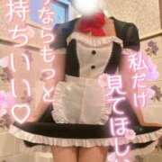 ヒメ日記 2025/07/31 14:12 投稿 神宮寺れい セクシーキャット 神田店