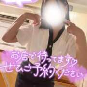 ヒメ日記 2025/08/19 12:11 投稿 神宮寺れい セクシーキャット 神田店