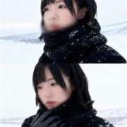 ヒメ日記 2025/11/17 23:55 投稿 神宮寺れい セクシーキャット 神田店