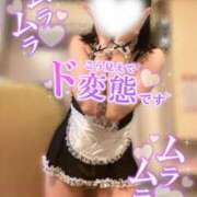 ヒメ日記 2025/11/20 12:35 投稿 神宮寺れい セクシーキャット 神田店