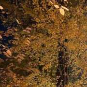 ヒメ日記 2025/11/21 23:31 投稿 神宮寺れい セクシーキャット 神田店