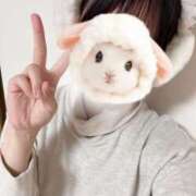 ヒメ日記 2025/11/22 23:31 投稿 神宮寺れい セクシーキャット 神田店