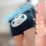 ヒメ日記 2025/12/19 12:47 投稿 神宮寺れい セクシーキャット 神田店