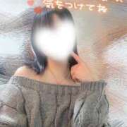 ヒメ日記 2026/01/29 06:39 投稿 神宮寺れい セクシーキャット 神田店