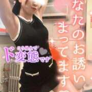 神宮寺れい 本日のテーマ『あなたのハート温めてあげるわ』♥️ セクシーキャット 神田店