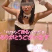 神宮寺れい ❤️明日出勤です‼️❤️ セクシーキャット 神田店