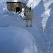 ヒメ日記 2025/02/12 10:22 投稿 あまね SOAPLAND LOVE FACTORY